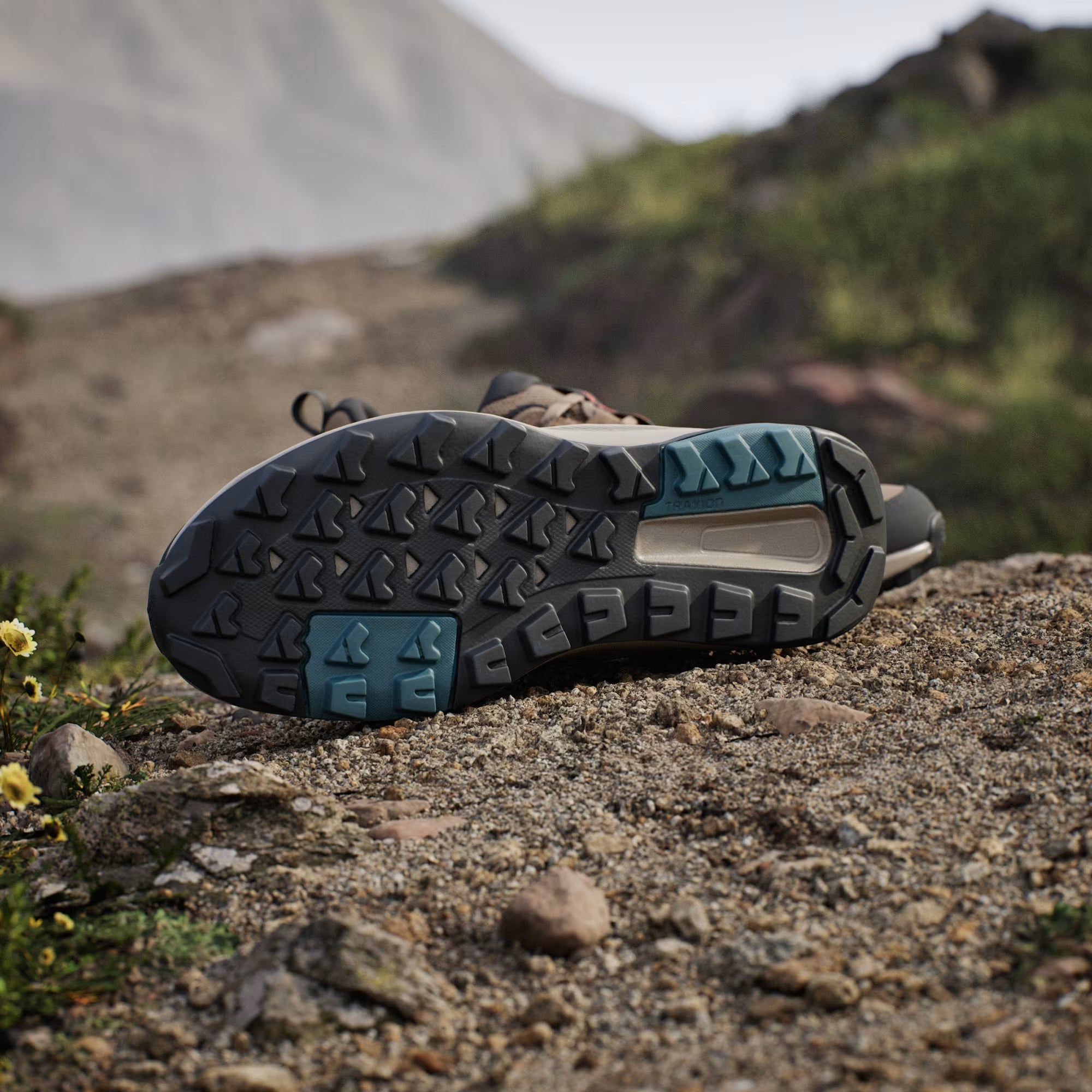 Zapatilla Terrex Anylander Hiking Cardboard / Blanch Cargo / Shadow Olive