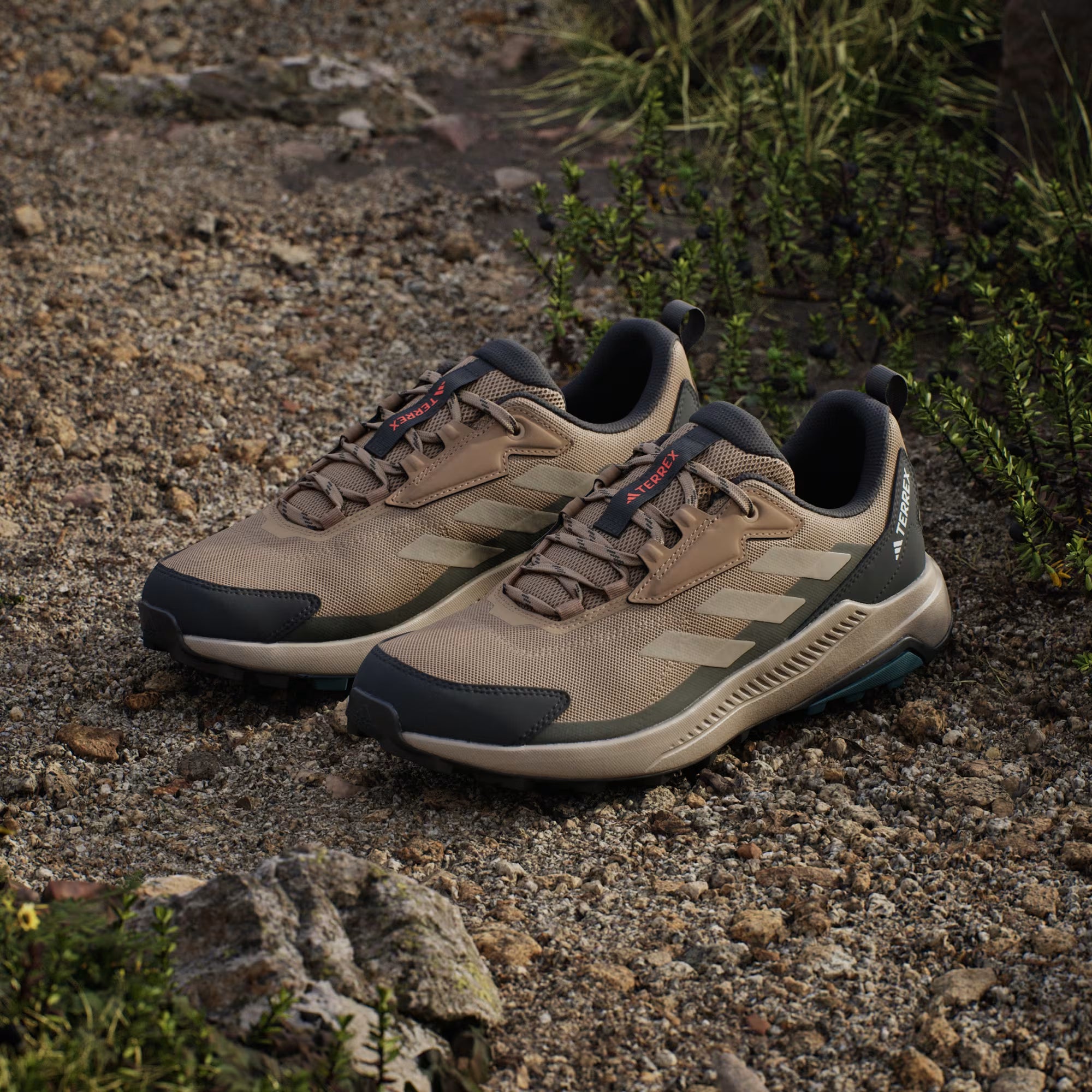 Zapatilla Terrex Anylander Hiking Cardboard / Blanch Cargo / Shadow Olive