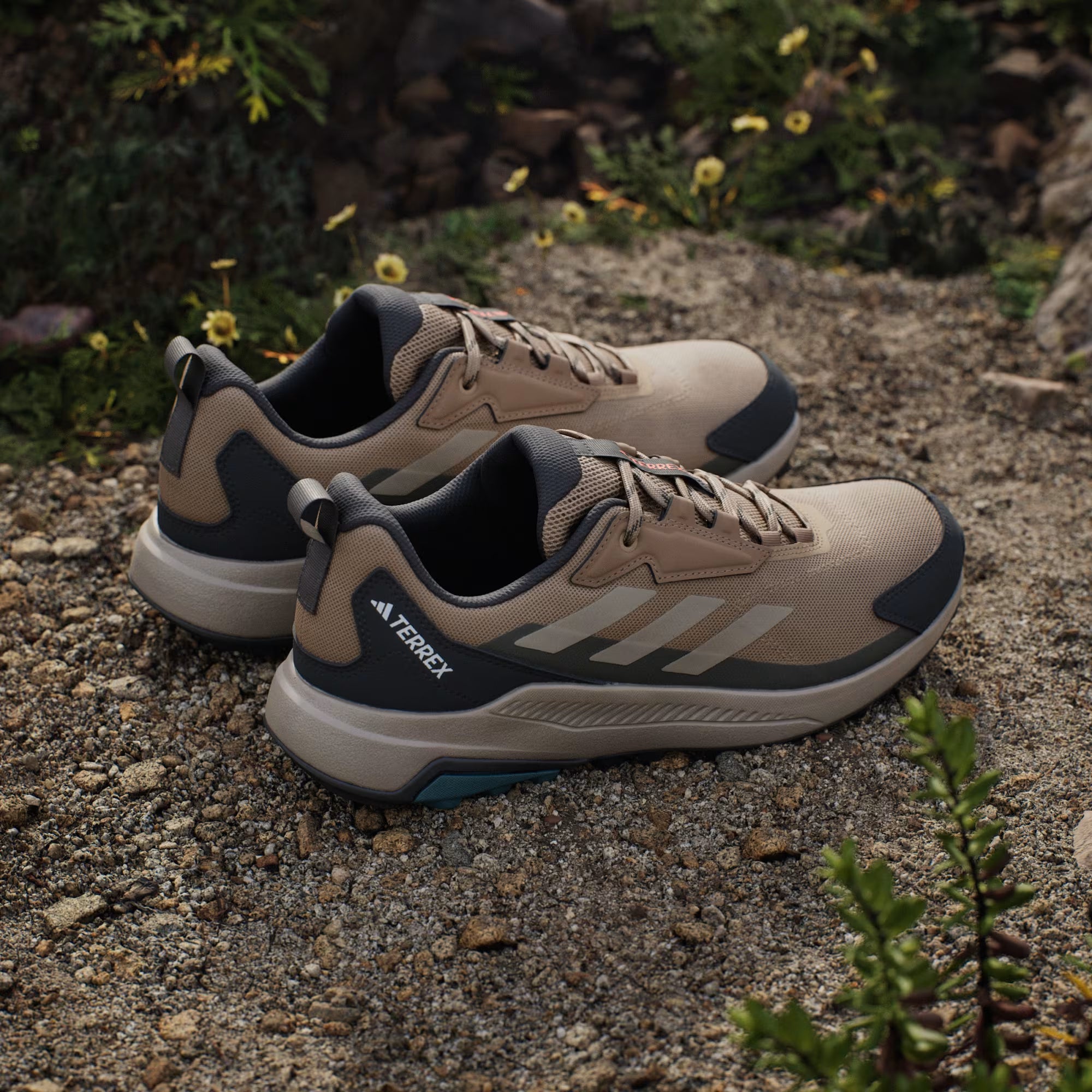 Zapatilla Terrex Anylander Hiking Cardboard / Blanch Cargo / Shadow Olive