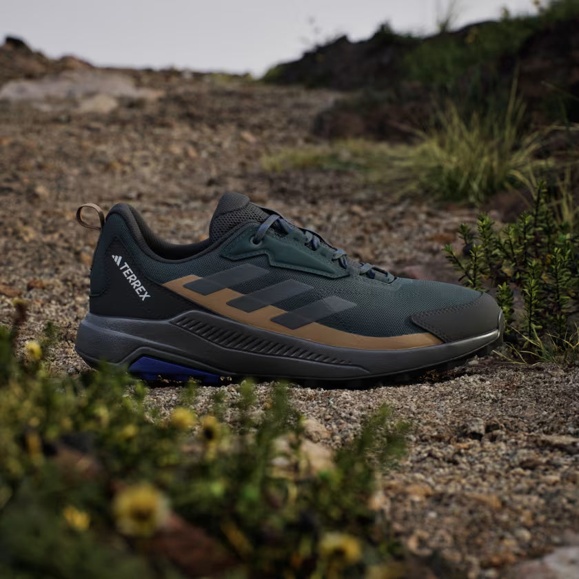 Zapatilla Terrex Anylander Hiking Aurora Ivy / Grey Six / Cardboard