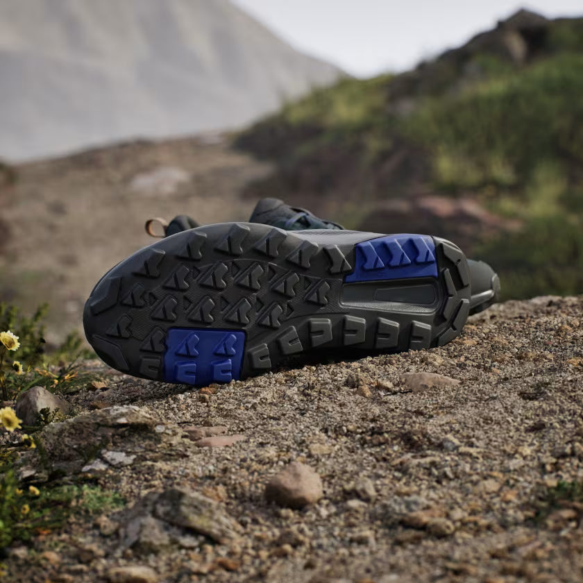 Zapatilla Terrex Anylander Hiking Aurora Ivy / Grey Six / Cardboard