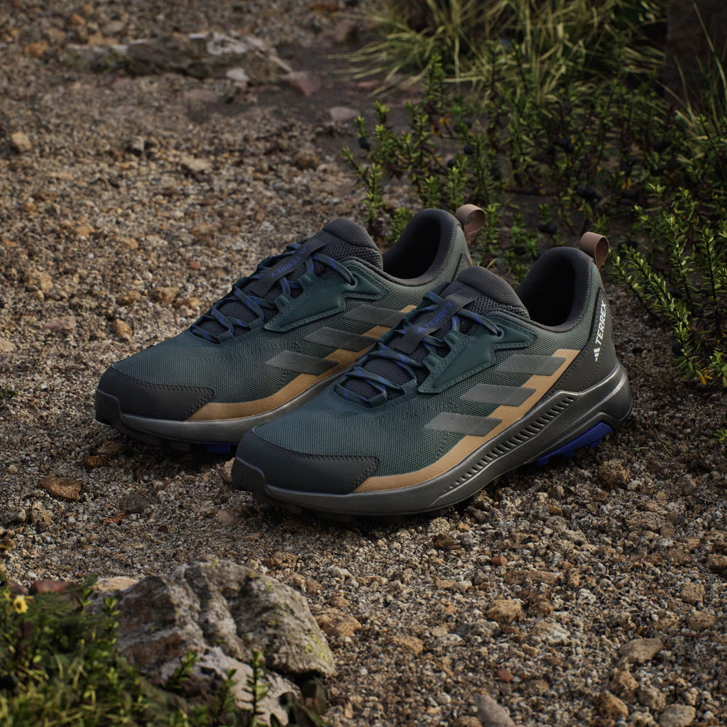 Zapatilla Terrex Anylander Hiking Aurora Ivy / Grey Six / Cardboard