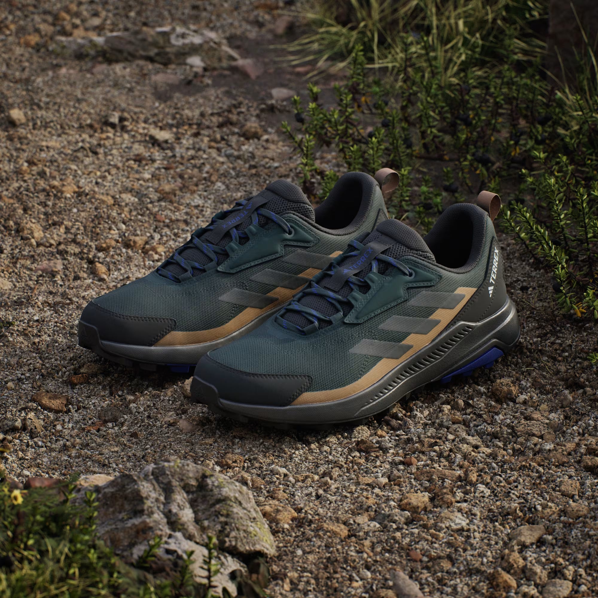 Zapatilla Terrex Anylander Hiking Aurora Ivy / Grey Six / Cardboard