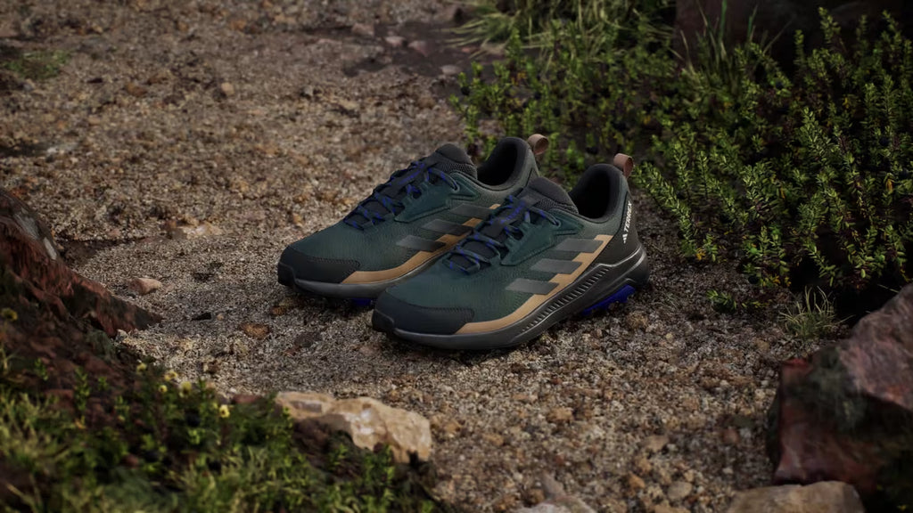 Zapatilla Terrex Anylander Hiking Aurora Ivy / Grey Six / Cardboard